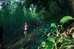 BIB: 
                            <button type="button" onclick="openModal(28124433)" class="btn btn-primary btn-sm float-right btn-popup" data-toggle="modal" data-target=".modal-high-quality">
                        <i class="fas fa-shopping-cart"></i> Add to Cart
                    </button>
                                            <button type="button" onclick="isThisMe(28124433, true)" class="btn btn-success btn-sm float-right btn-popup btn-isme hidden" data-toggle="tooltip" data-placement="bottom" title="นี่คือรูปของคุณใช่ไหม คลิกที่นี่เพื่อเอาเข้าอัลบั้ม">
                        <i class="fas fa-plus"></i> Add to album
                    </button>
                    <button type="button" onclick="isThisMe(28124433, false)" class="btn btn-warning btn-sm float-right btn-popup btn-isnotme hidden">
                        <i class="fas fa-ban"></i> Remove from album
                    </button>